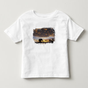 Botswana, Chobe National Park, Elefant Tee