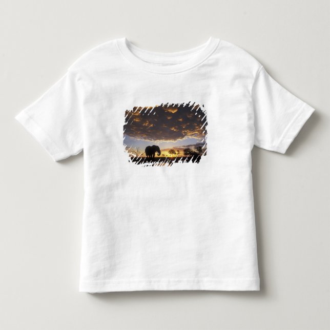 Botswana, Chobe National Park, Elefant Tee (Framsida)