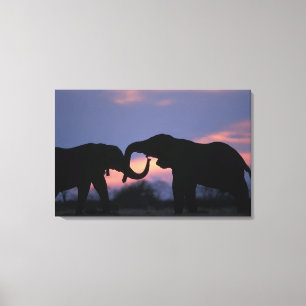 Botswana, Chobe National Park, Elefanter Canvastryck