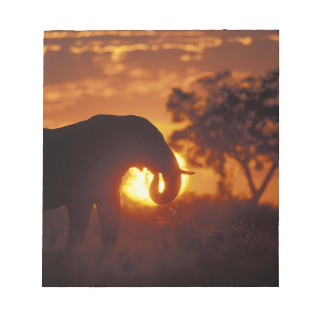 Botswana, Chobe National Park, tjur Elefant Anteckningsblock (Framsida)