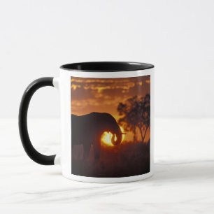 Botswana, Chobe National Park, tjur elefant Mugg