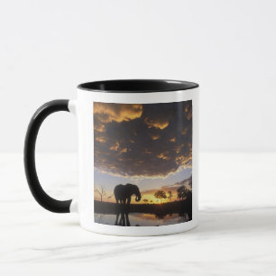 Botswana, Chobe nationalpark, Elefant Mugg