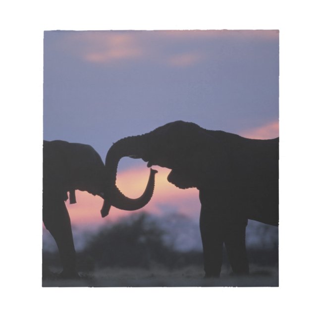 Botswana, Chobe nationalpark, Elefanter Anteckningsblock (Framsida)