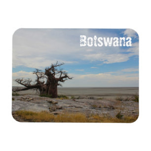 Botswana Kubu Baobab Island Go Travel Magnet