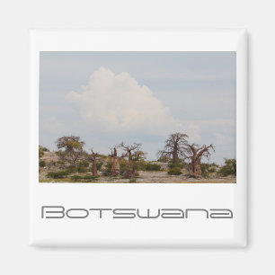 Botswana Kubu Baobab Island Go Travel Magnet