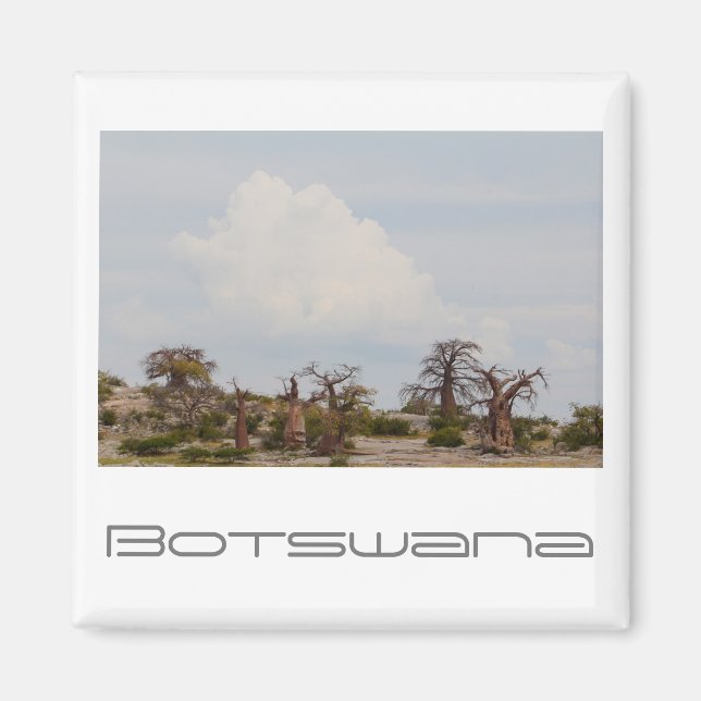 Botswana Kubu Baobab Island Go Travel Magnet (Framsidan)