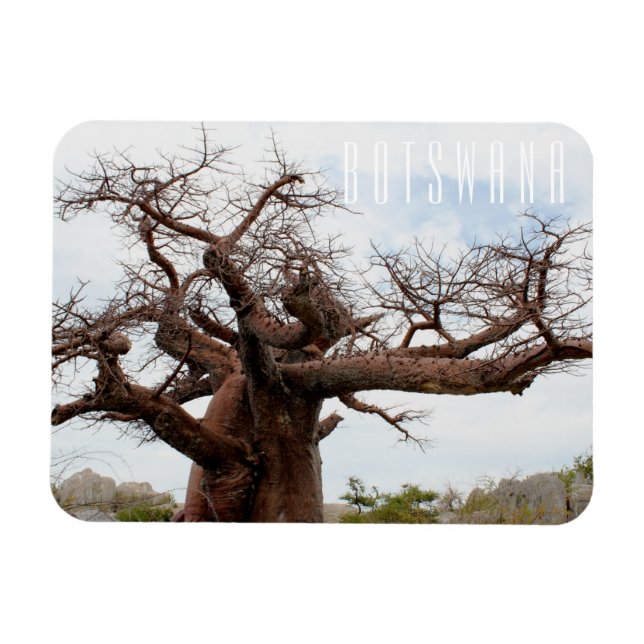 Botswana Kubu Baobab Island Go Travel Magnet (Horisontell)