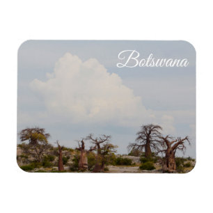 Botswana Kubu Baobab Ö Go Travel Magnet