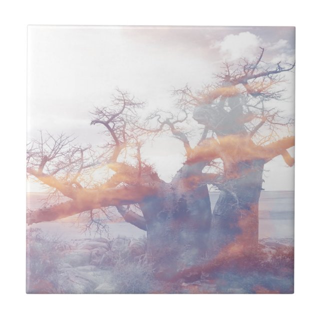 Botswana Kubu Island Baobab Träd Kakelplatta (Framsidan)