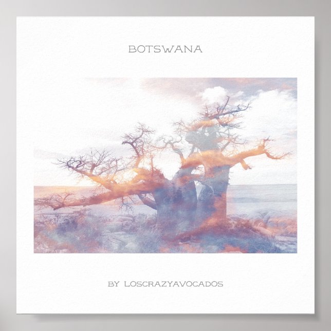 Botswana Kubu Island Baobab Travel Poster (Framsidan)