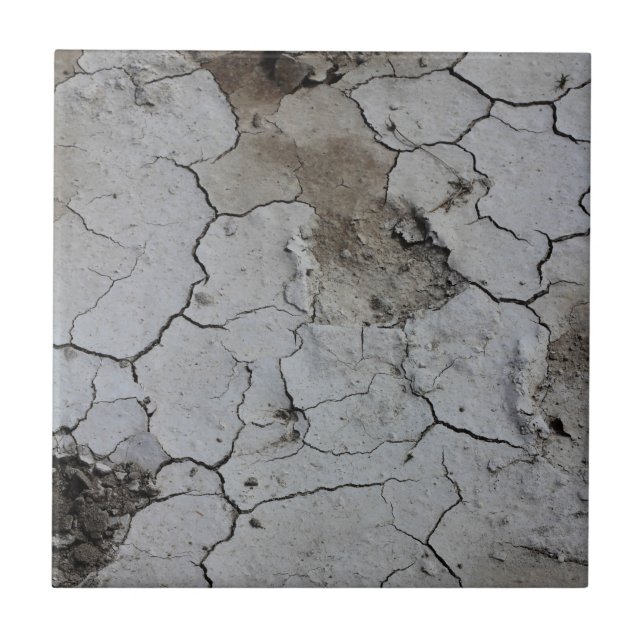 Botswana Landcape Salt Pans Cracks Dry Lera Kakelplatta (Framsidan)