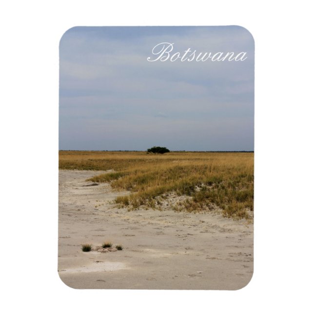 Botswana Ligcape Salt Pans Savannah Magnet (Vertikal)