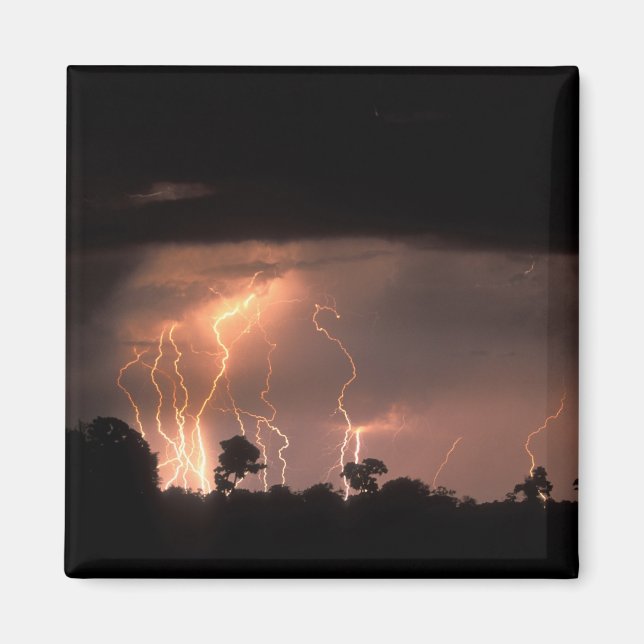 Botswana, Moremi Game Reserve, Blixt fyller Magnet (Framsidan)