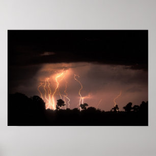 Botswana, Moremi viltreservat, Blixt fyller Poster