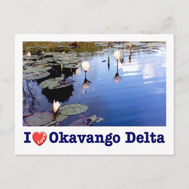 Botswana - Okavango Delta - I Kärlek - Vykort (Framsida)