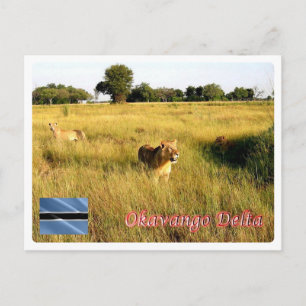 Botswana - Okavango Delta - Vykort