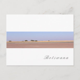 Botswana Salt Pans Savannah Grass liggande Vykort