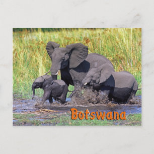 Botswana Vykort