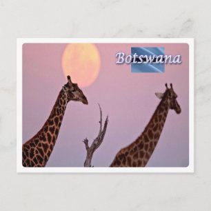 Botswana - vykort