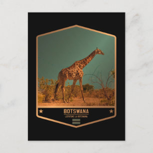Botswana Vykort