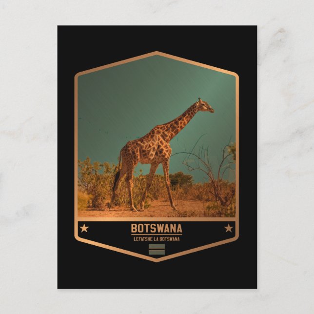 Botswana Vykort (Framsida)