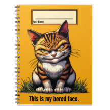 Bott Cat