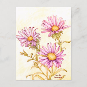 Bottanisk vildblomma akvarell aster vykort