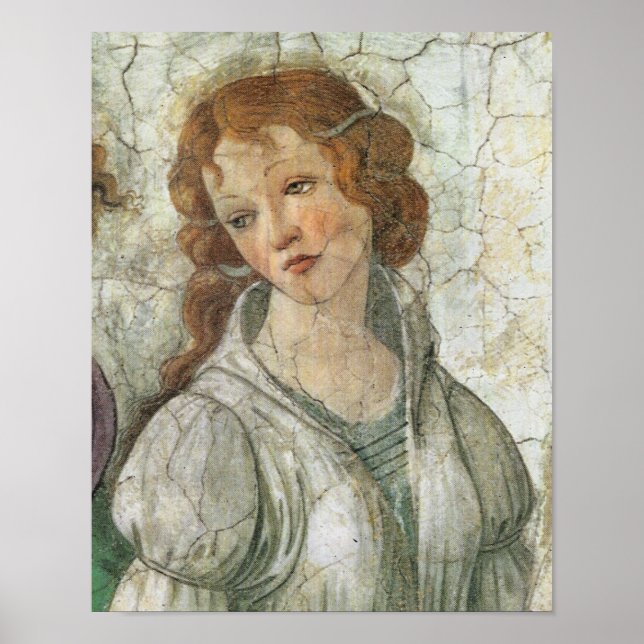 Botticelli Goddess Renaissance Fine Art Poster (Framsidan)