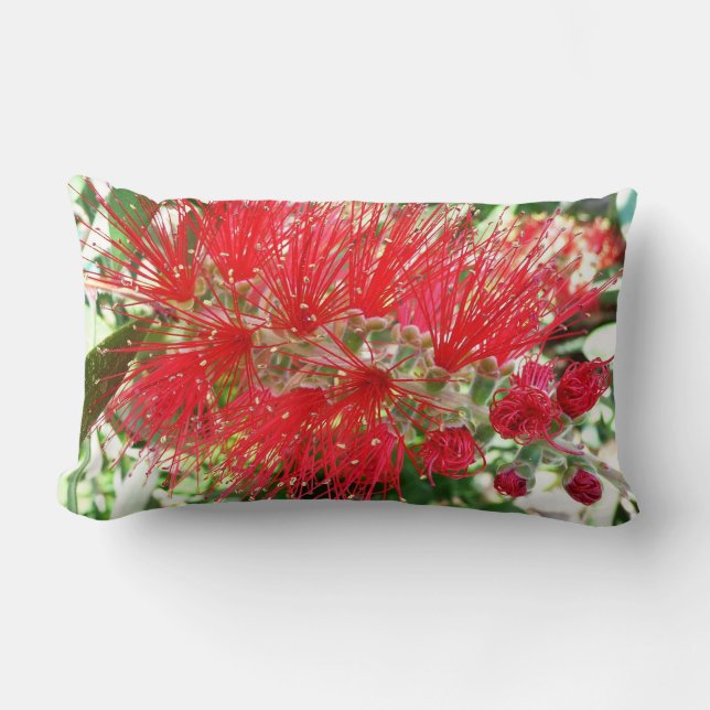 Bottlebrush Flower Red Tropical Blommigt Lumbarkudde (Framsida)