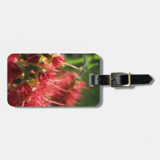 Bottlebrush Tendrils Bagagebricka