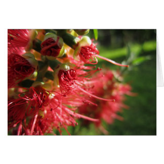Bottlebrush Tendrils Hälsningskort