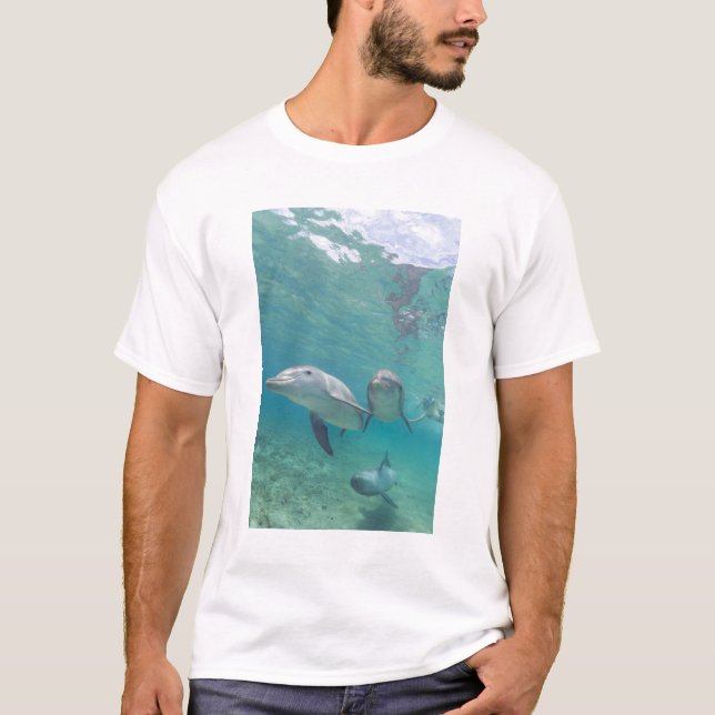Bottlenos Dolphins Tursiops truncatus Tee Shirt (Framsida)