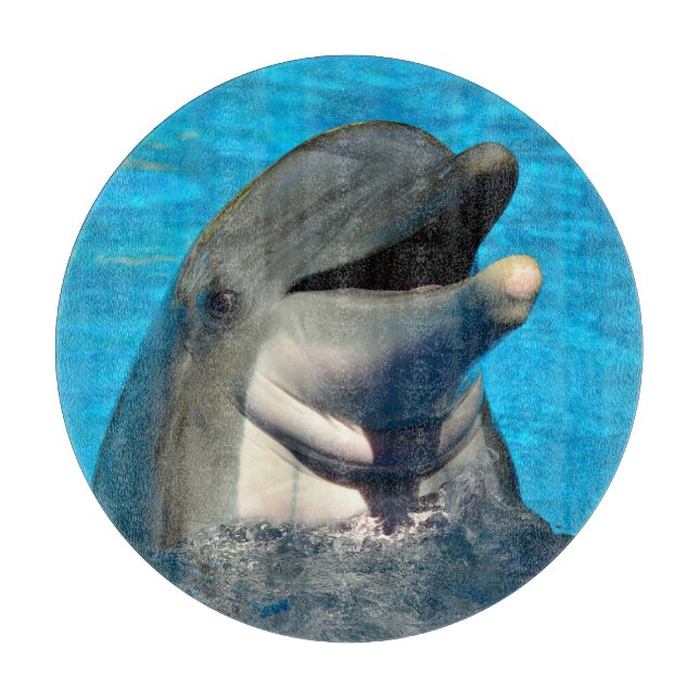 Bottlenosdolphin head (Framsidan)