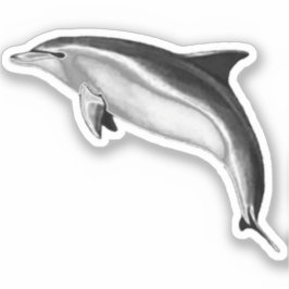 BOTTLENOSE DOLPHIN KLISTERMÄRKEN