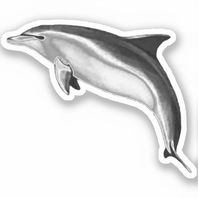 BOTTLENOSE DOLPHIN KLISTERMÄRKEN (Framsida)