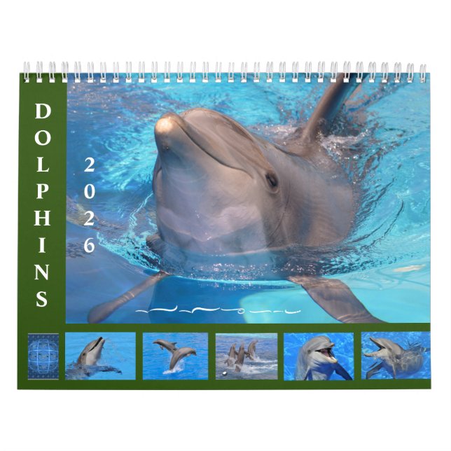 Bottlenose dolphins 12 month calendar kalender (Omslag)