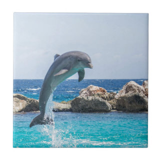 Bottlenosedelfin Kakelplatta