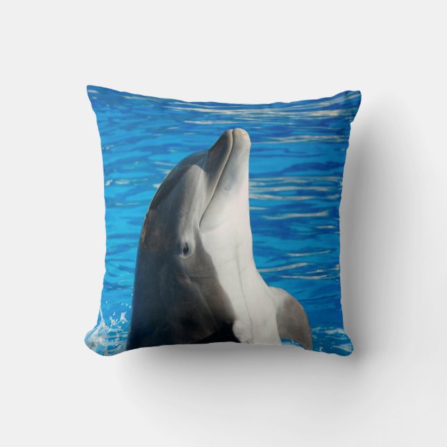 Bottlenosedelfin Kudde (Framsida)