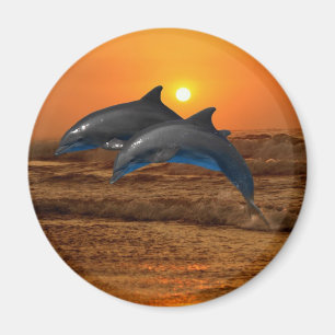 Bottlenosedelfin på solnedgången magnet