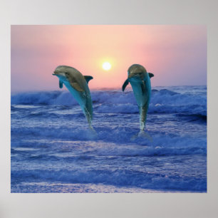 Bottlenosedelfin på soluppgången poster