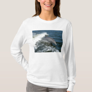 Bottlenosedelfin T Shirt