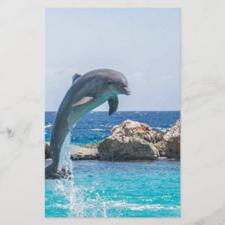 Bottlenosolfin