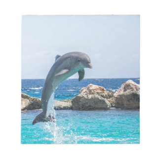 Bottlenosolfin Anteckningsblock