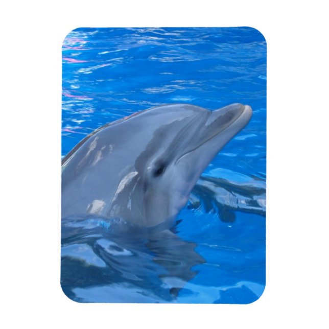 Bottlenosolfin Premium Magnet (Vertikal)