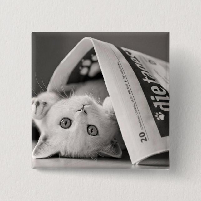 Botton Cat Knapp (Framsida)