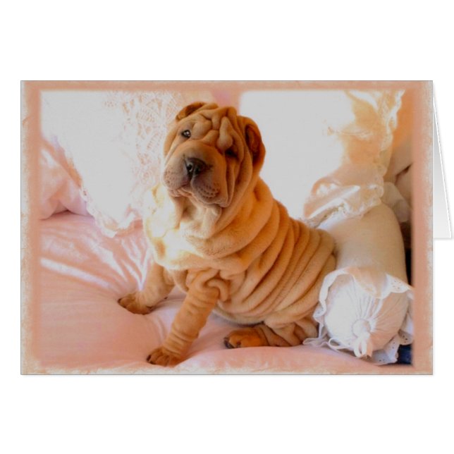 Boudoir Hälsningskort (Framsidan Horizontal)