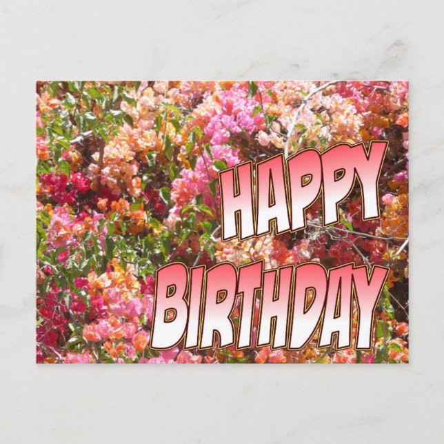 Bougainvillea Birthday Postcard Rosa Vykort (Framsida)