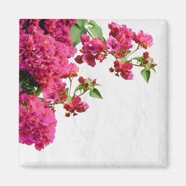 Bougainvillea Blommigt Mediterranean Greece Island Magnet