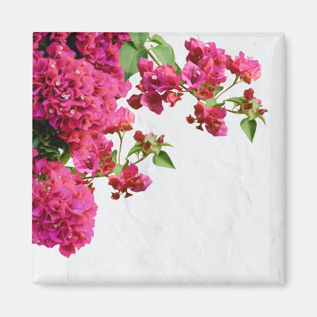 Bougainvillea Blommigt Mediterranean Greece Island Magnet (Framsidan)