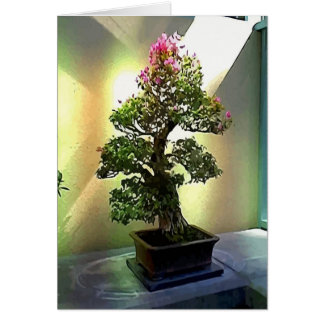 Bougainvillea Bonsai Träd Hälsningskort